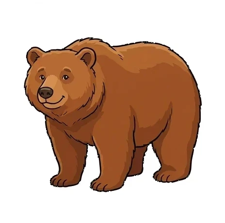 Bear